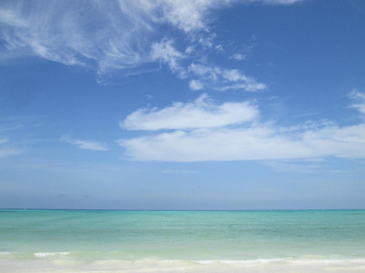 Take It Easy Apartment ปาเยอ ภายนอก รูปภาพ